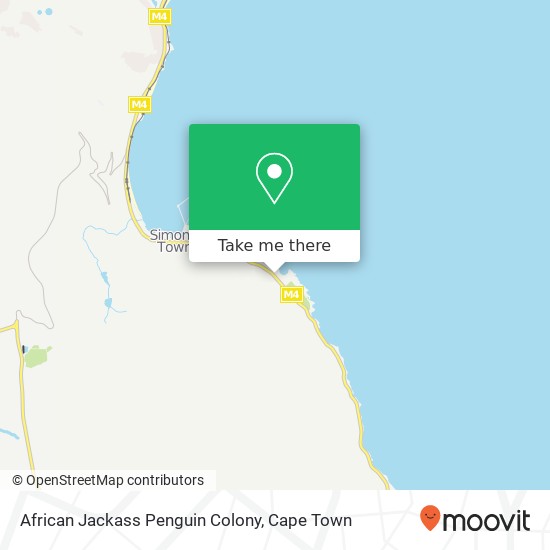 African Jackass Penguin Colony map