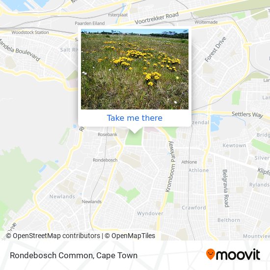 Rondebosch Common map