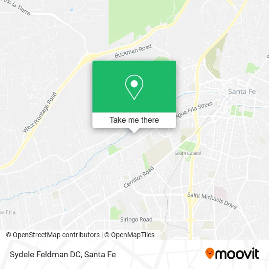 Sydele Feldman DC map