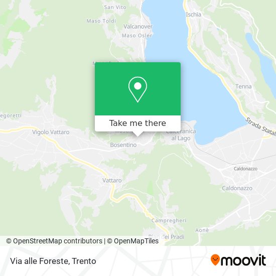 Via alle Foreste map