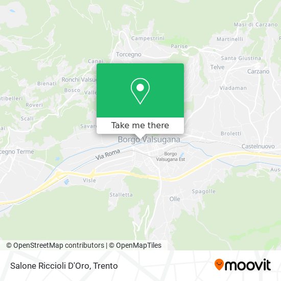 Salone Riccioli D'Oro map