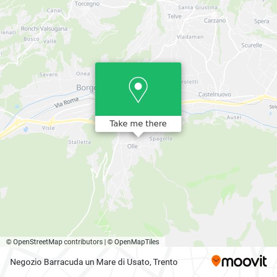 Negozio Barracuda un Mare di Usato map