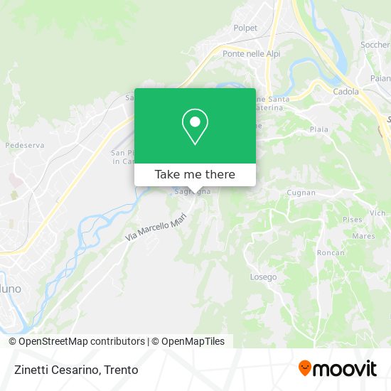 Zinetti Cesarino map
