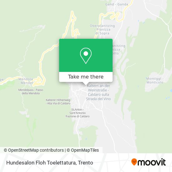 Hundesalon Floh Toelettatura map