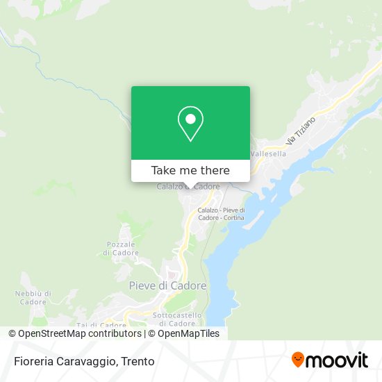 Fioreria Caravaggio map