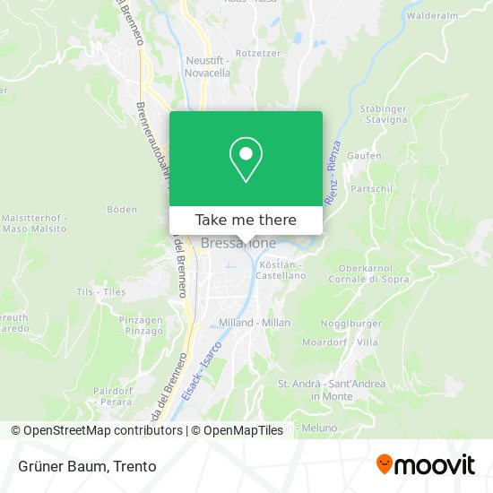 Grüner Baum map