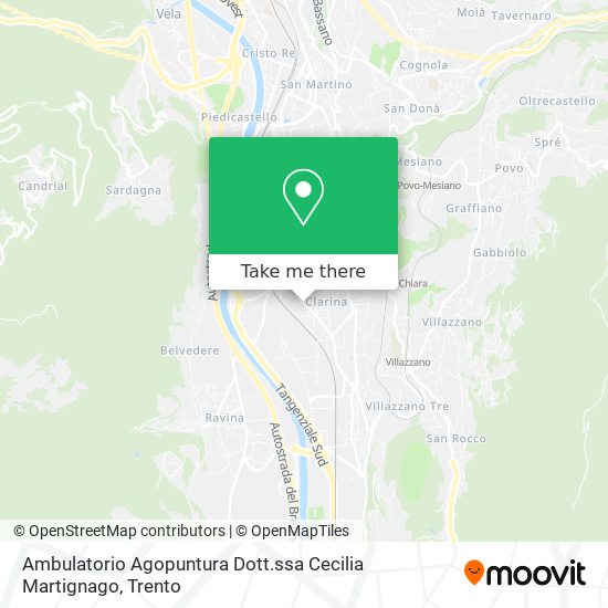 Ambulatorio Agopuntura Dott.ssa Cecilia Martignago map