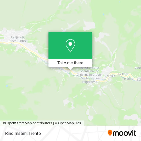 Rino Insam map