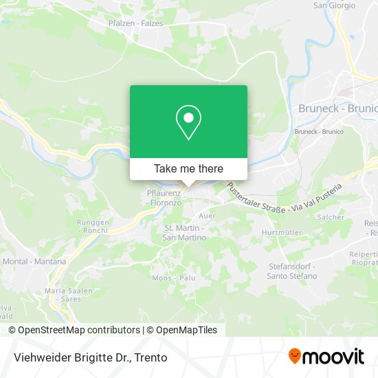 Viehweider Brigitte Dr. map