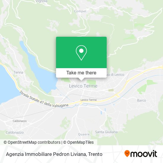 Agenzia Immobiliare Pedron Liviana map