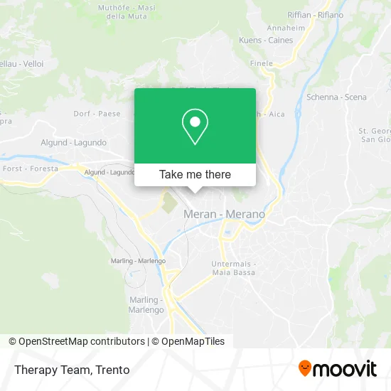 Therapy Team map