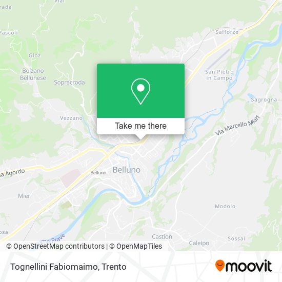 Tognellini Fabiomaimo map