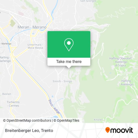 Breitenberger Leo map