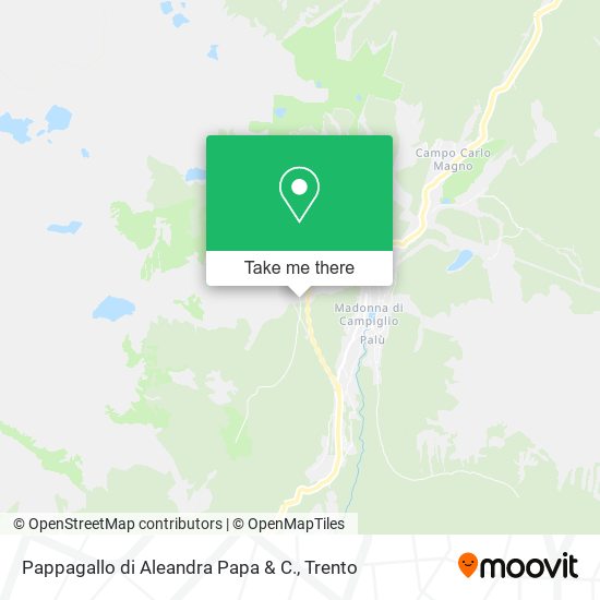 Pappagallo di Aleandra Papa & C. map