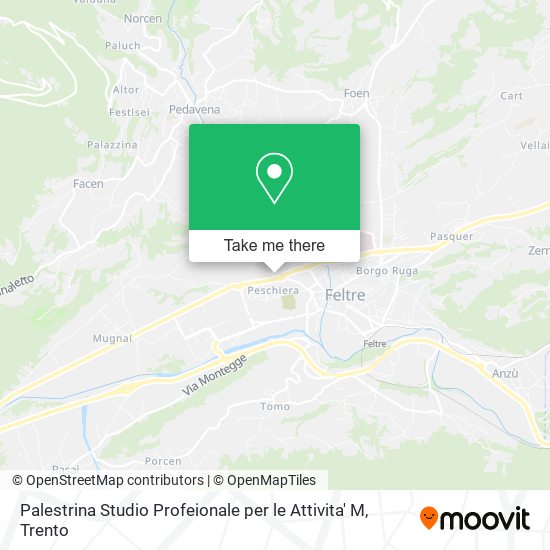 Palestrina Studio Profeionale per le Attivita' M map