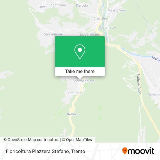 Floricoltura Piazzera Stefano map