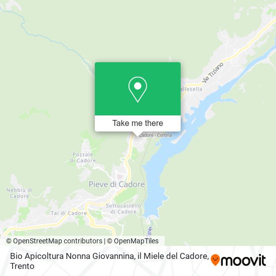 Bio Apicoltura Nonna Giovannina, il Miele del Cadore map