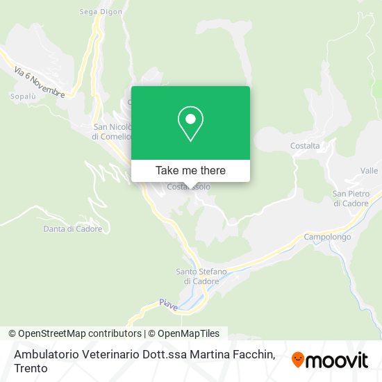 Ambulatorio Veterinario Dott.ssa Martina Facchin map