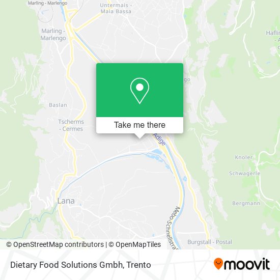 Dietary Food Solutions Gmbh map