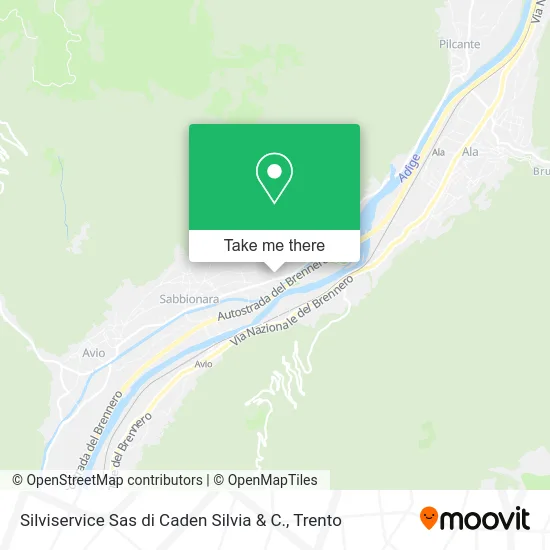Silviservice by Caden Silvia & Company map