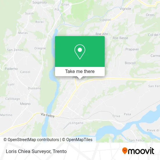 Loris Chiea Surveyor map
