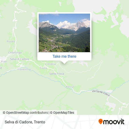 Selva di Cadore map