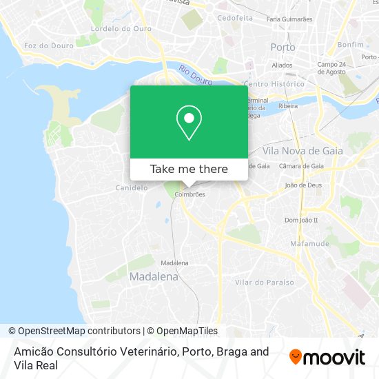 Amicão Consultório Veterinário mapa