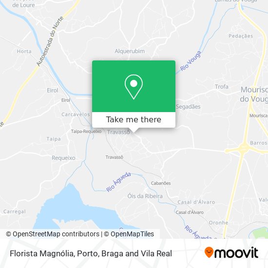 Florista Magnólia mapa