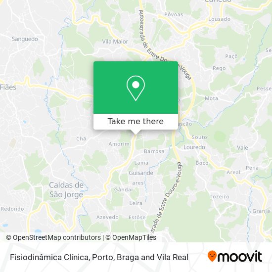Fisiodinâmica Clínica map