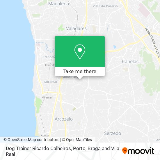 Dog Trainer Ricardo Calheiros map