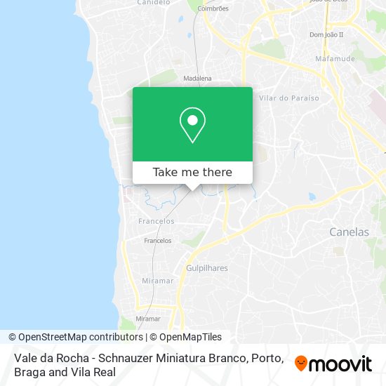 Vale da Rocha - Schnauzer Miniatura Branco mapa