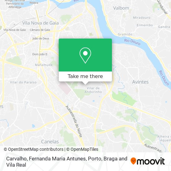 Carvalho, Fernanda Maria Antunes map