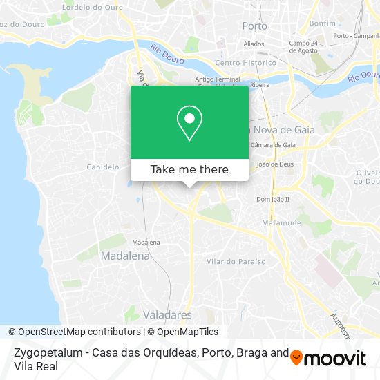 Zygopetalum - Casa das Orquídeas map