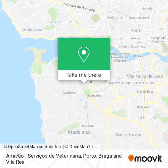 Amicão - Serviços de Veterinária map