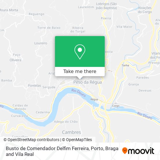 Busto de Comendador Delfim Ferreira map