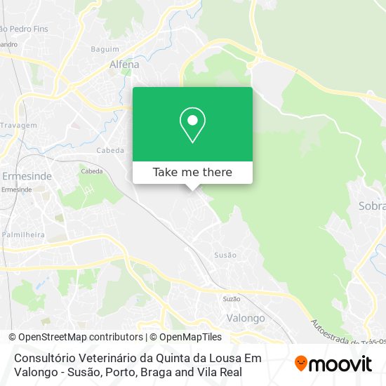 Consultório Veterinário da Quinta da Lousa Em Valongo - Susão map