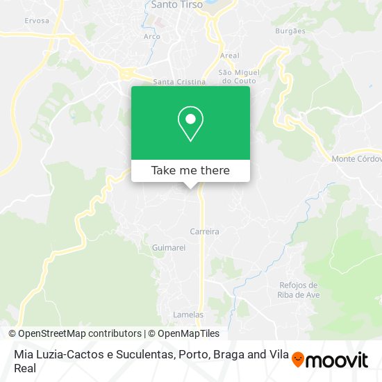 Mia Luzia-Cactos e Suculentas map