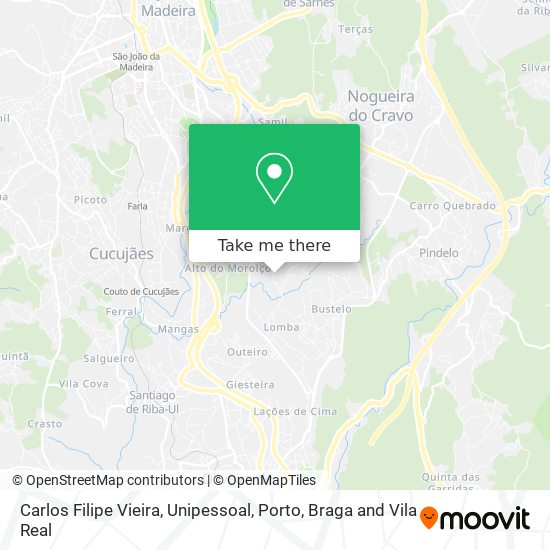 Carlos Filipe Vieira, Unipessoal mapa