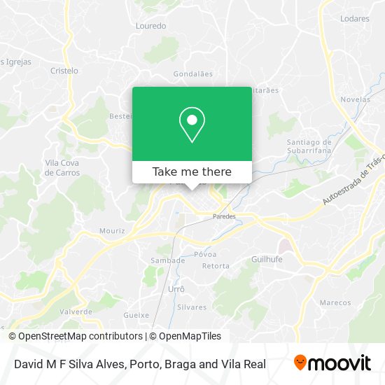 David M F Silva Alves map