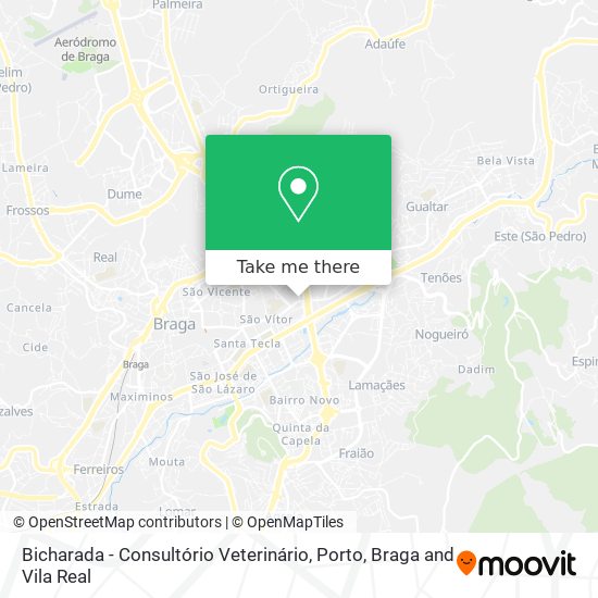 Bicharada - Consultório Veterinário mapa