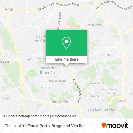 Thalia - Arte Floral mapa