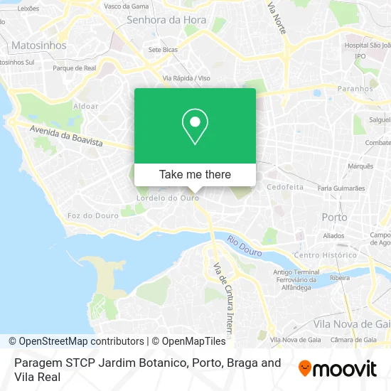 Paragem STCP Jardim Botanico map