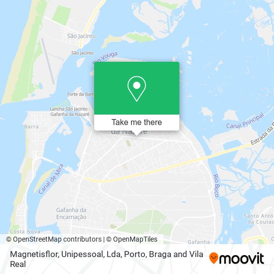 Magnetisflor, Unipessoal, Lda map