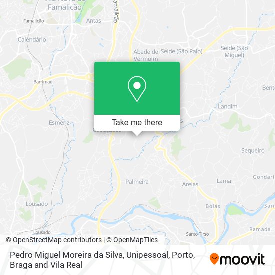 Pedro Miguel Moreira da Silva, Unipessoal mapa