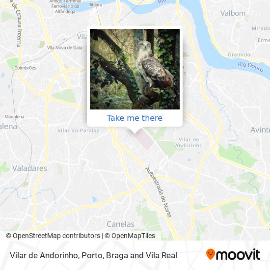 Vilar de Andorinho map