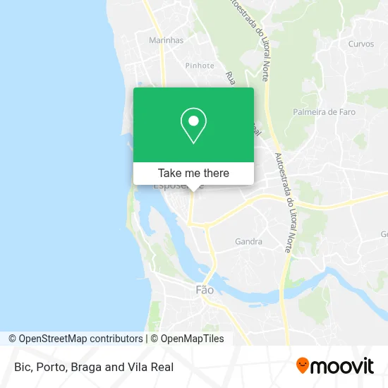 Bic map