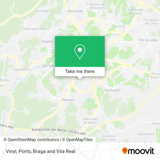 Vinyl map