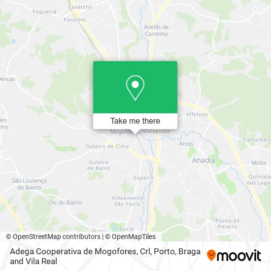 Adega Cooperativa de Mogofores, Crl mapa