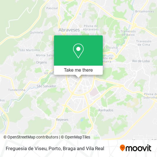 Freguesia de Viseu mapa
