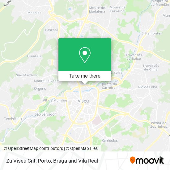 Zu Viseu Cnt map